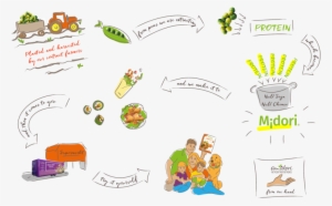 From Field To Fork - Field To Fork