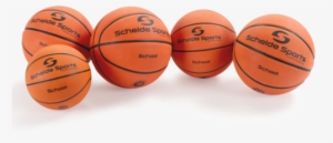 Basketball Schelde School, Size - Basketball School Shooter