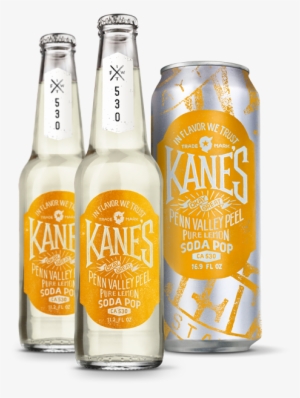 So Pure It's Almost More Lemon Than The Lemon Itself - Kanes Drink