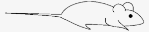 Rat Coloring Transparent