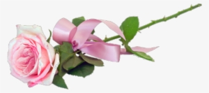 Wifi Transparent Tumblr Download - Rose Pink Tumblr Png