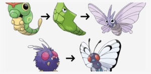 Evoluciones De Metapod Y Venonat - Venonat Evolve