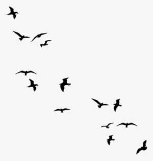 Stock Black Flying Birds By Jassy2012 On Deviantart - Flying Away Birds Silhouette