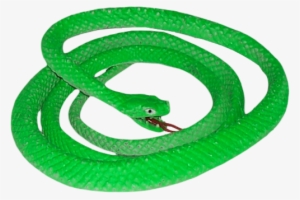 Smooth Green Snake Clipart Vector Png - Green Snake Transparent