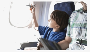 Image Of Young Seagull Afraid To Fly For Two Stories - Child In Plane