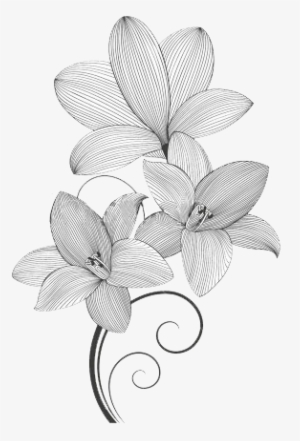 Beautiful Floral Lines - Design