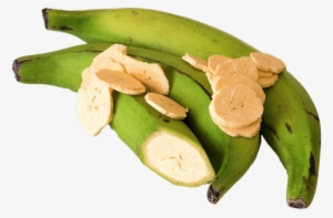 Fruits - Green Bananas Puerto Rico