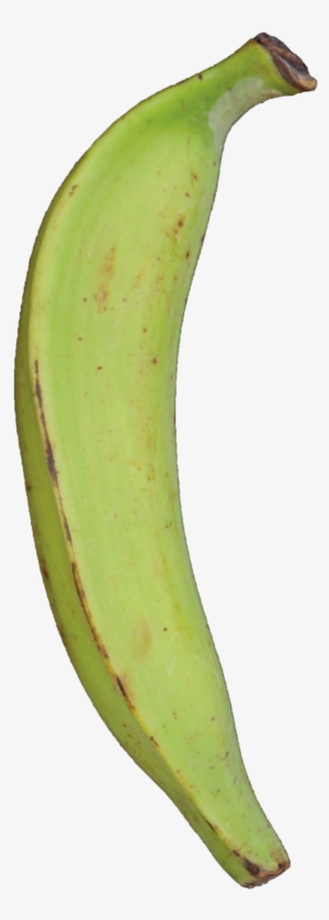 Plantain Green Raw Dirt - Portable Network Graphics