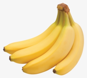 Banana - Banana Bunch