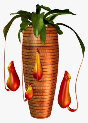 Garden Potplant - Vase