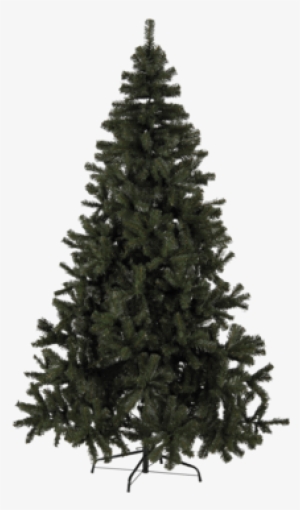 Christmas Tree Quebec Green - Christmas Tree With Light