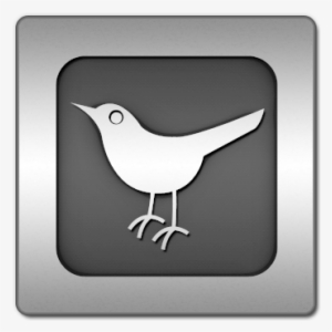 Social, Animal, Bird, Twitter, Social Network, Square, - Twitter Bird