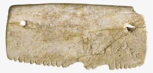 Peine Antiguo De Huesos