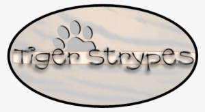 Here's My Tigerstrypes Blog Craft For This - Calligraphy