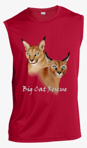 Bcr Chaos And Cyrus Caracal Color St352 Sport Tek Sleeveless - Ceramic