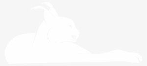 The Caracal Is A Fiercely Territorial Medium-sized - Illustration