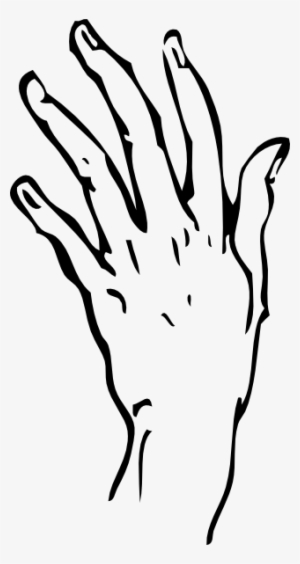 Circuit Board Clipart - Hand Line Drawing Transparent - 318x598 Png 