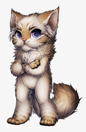 9ensfgv - Persian Cat