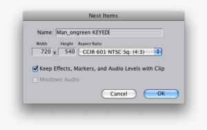 Nested Sequence Dialog Box - Sequence