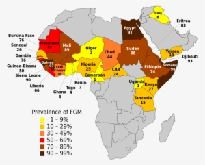 Nigeria Bans Female Genital Mutilation - Female Circumcision
