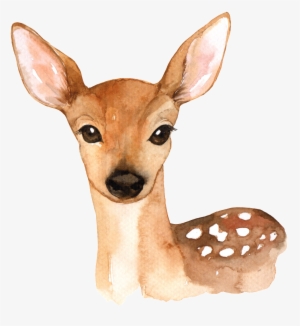 Hand Painted A Cute Deer Png Transparent - Woodland Animals Printables Free
