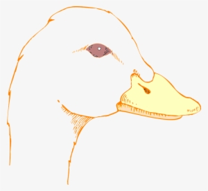 Clipart Duck Duck Beak - Draw A Duck Head