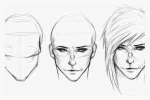 Clip Royalty Free Download Human Face Anatomy K - Anatomia De La Cara Dibujo