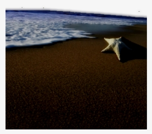 Beach-only - Beach Wedding Invitation Templates