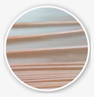Placa De Laminação De Madeira Paulownia Finger - Plywood
