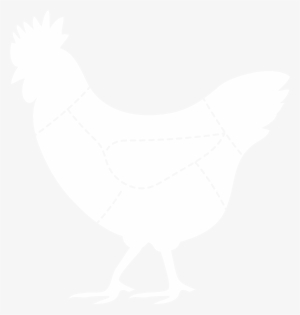 Check Availability - Rooster