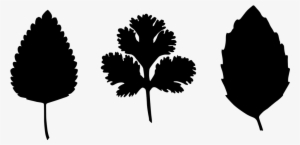 Recipes - Illustration