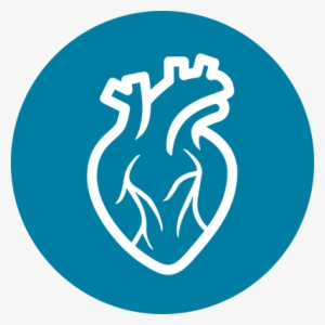 Dor Procedure - He Got Up