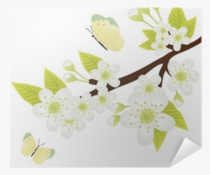 Vector Graphics
