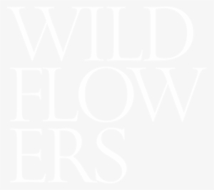 Wild Flowers - Kozmetični Salon Urša, Urška Jeruc S.p.