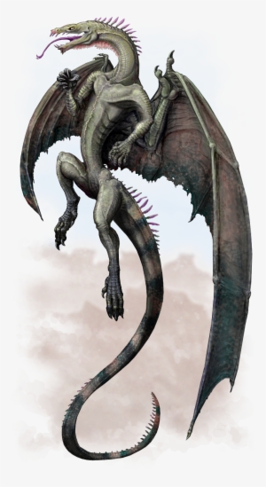 Shades Of Graydragon - Dragon