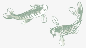 Learn To Cook - Northern Pike