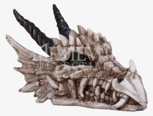 Dragon Skull Statue - Dinosaur