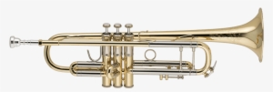 Bach 19043/19037 - Bach 19037 Stradivarius 50th Anniversary Model Professional
