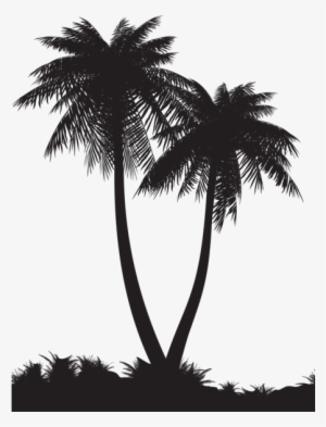 Pin By Alan On Bookshelves - Palm Tree Silhouette Png