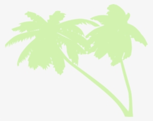 Palm Trees Png - Maple Leaf