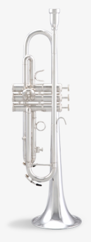 Tama By Kastul Ktps Bb Marching Trumpet - Bach Tr-501 S Student