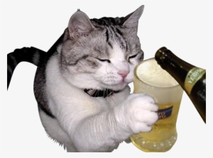 Cat Cheers