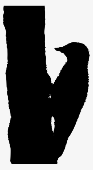 Woodpecker Drawing Black And White Bird Sparrow - Clip Art