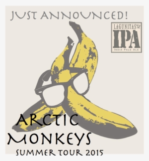 Flyers - Velvet Underground & Nico - Vinyl Lp