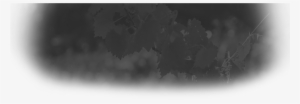 Header-background - Monochrome