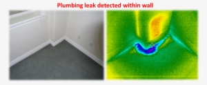 Leak Detection In St Petersburg - Ogden Home Insurance Company