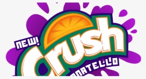 Crush Orange Soda, 16 Fl Oz Can