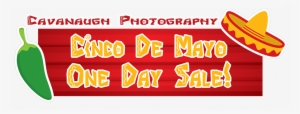 Cinco De Mayo Sale One Day Only - Calligraphy