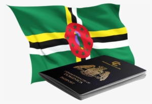 Eligibility & Investment Criteria - Flag