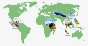 See All Locations - Give International Volunteer Excursions